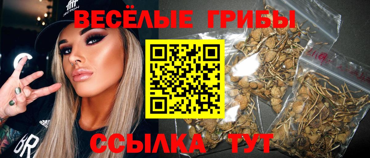 Псилоцибиновые грибы мицелий  Галлюциногенные грибы MAGIC MUSHROOMS  Вход с VPN  Орехово-Зуево 